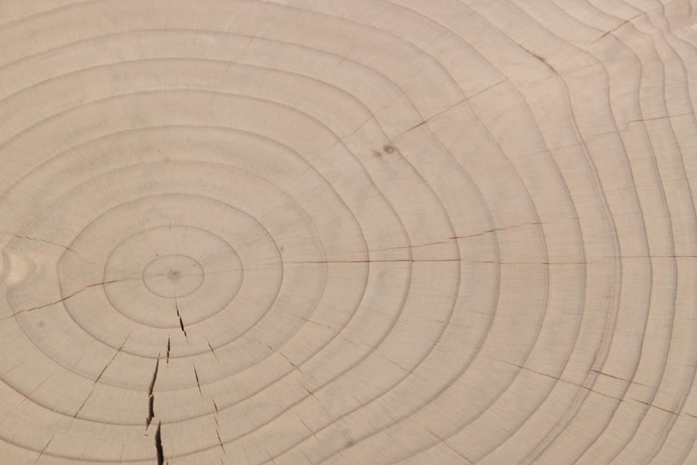 A9 - Zeder Contract (Essence nur für den Innenbereich erhältlich)