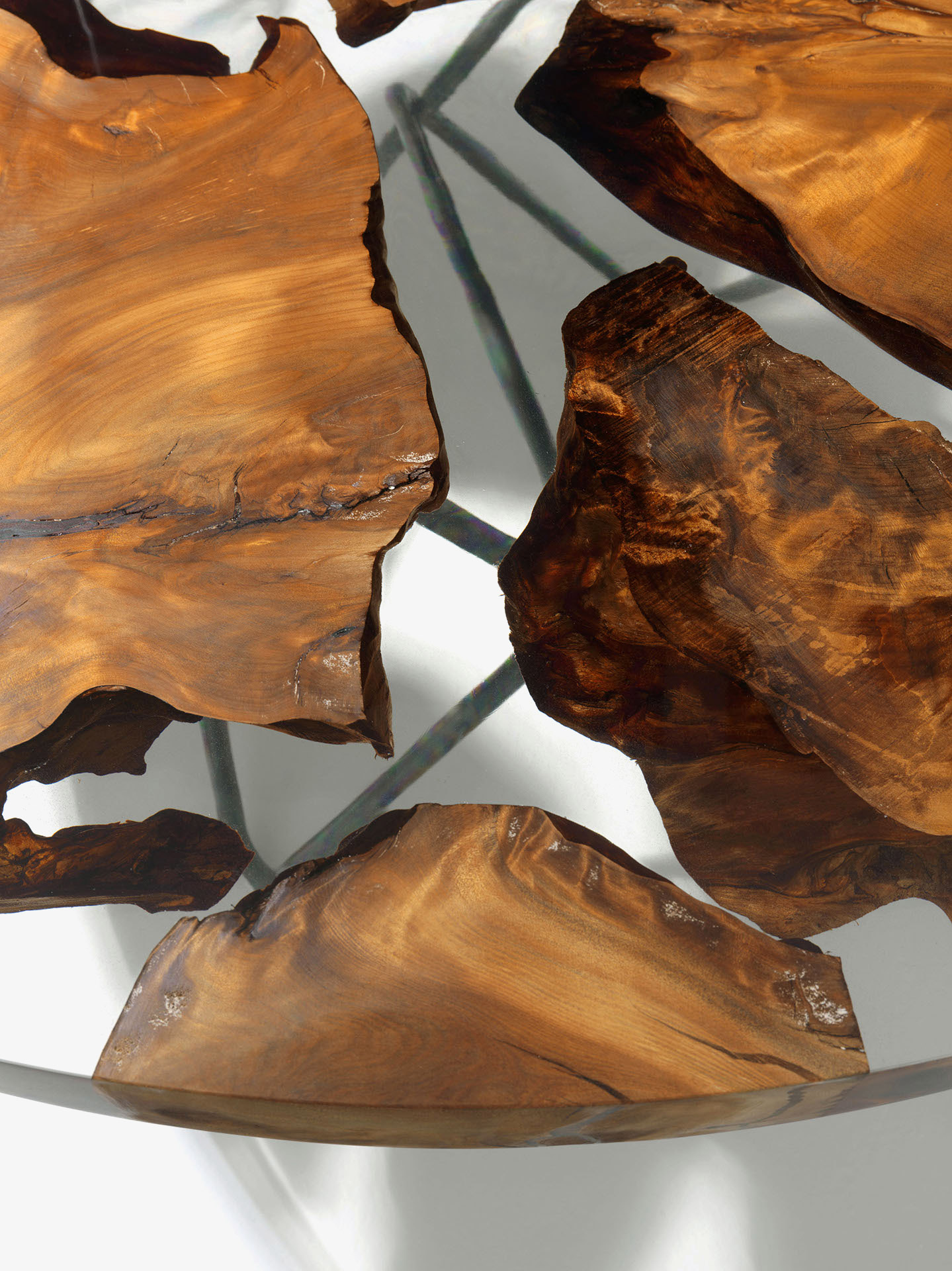KAURI EARTH Gallery 1