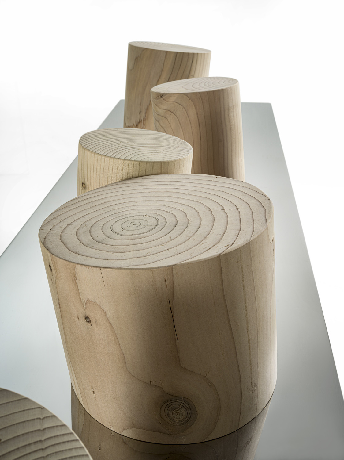 VENICE CEDRO Gallery 4